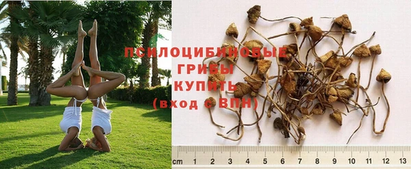 spice Лагань