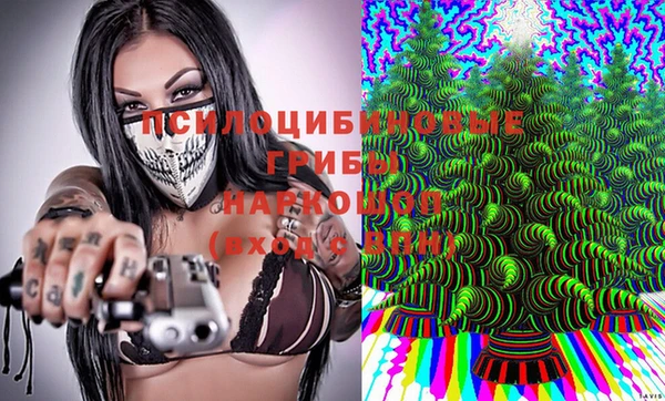 прущие крисы Лабытнанги