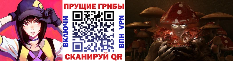 Псилоцибиновые грибы прущие грибы  сайты даркнета официальный сайт  Дубна  цена  