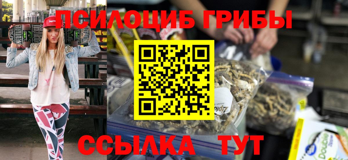 Псилоцибиновые грибы Дубна
