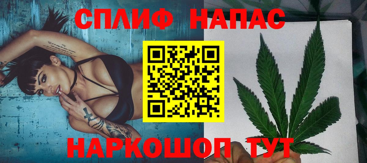 Бошки Шишки MAZAR Дубна